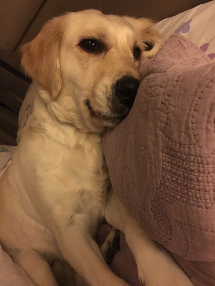 Three Seconds After I Decide To Go To Bed