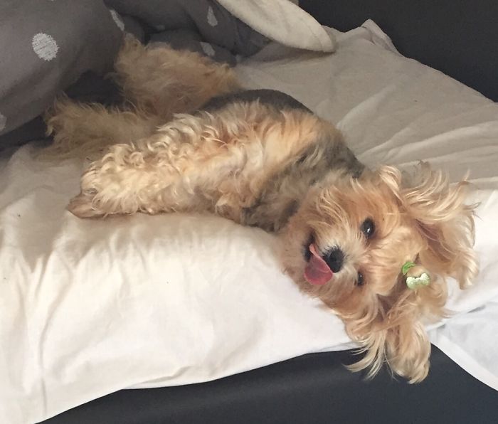 Draw Me Like One Of Your French Girls