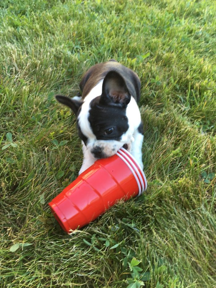 I Swear I’m 21! Hit Me With A Refill!