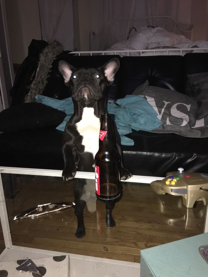 Beer Please !!!my Name Is Jacques Put It On My Tab