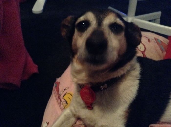 When I Stop Patting Her: Death Stare!!!