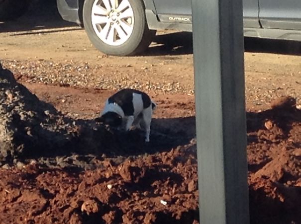 She Buried Her Stuffed Toy :| Really