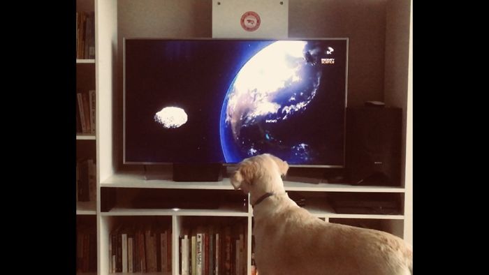 “I’ve Always Been Into Astrowoff Woof!”