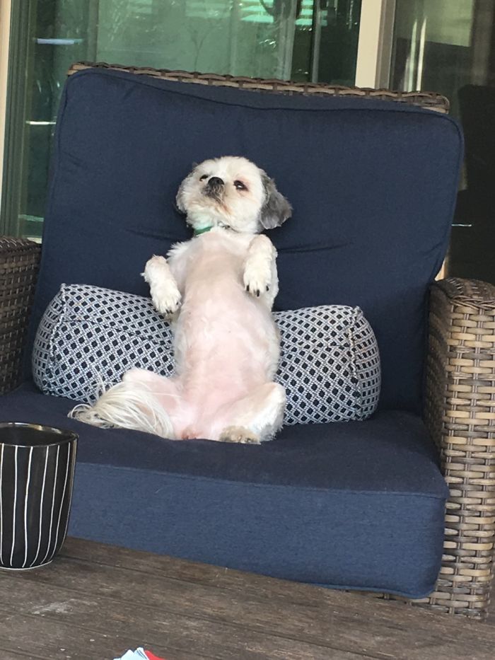 Just Chilling On The Patio With My Cup Of Coffee...