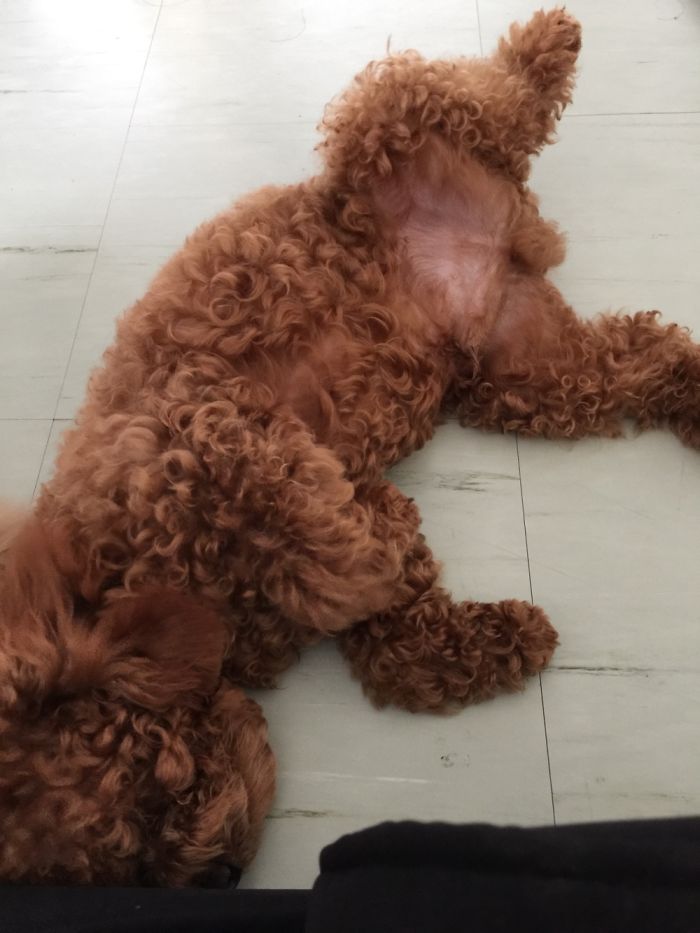 When You’re Drunk And Tired Playing All Day...