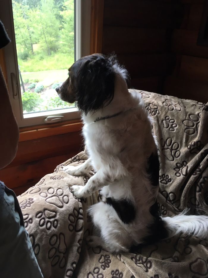 Looking Out The Window