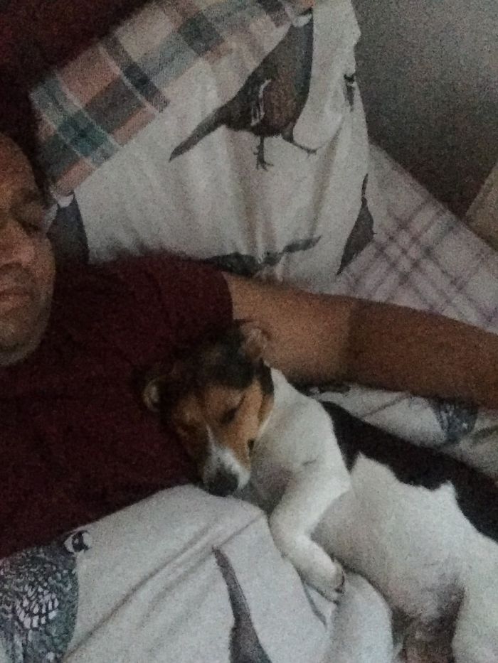 Most Mornings I Wake Up To This - Like A Human Child Nestled Up Against His Owner
