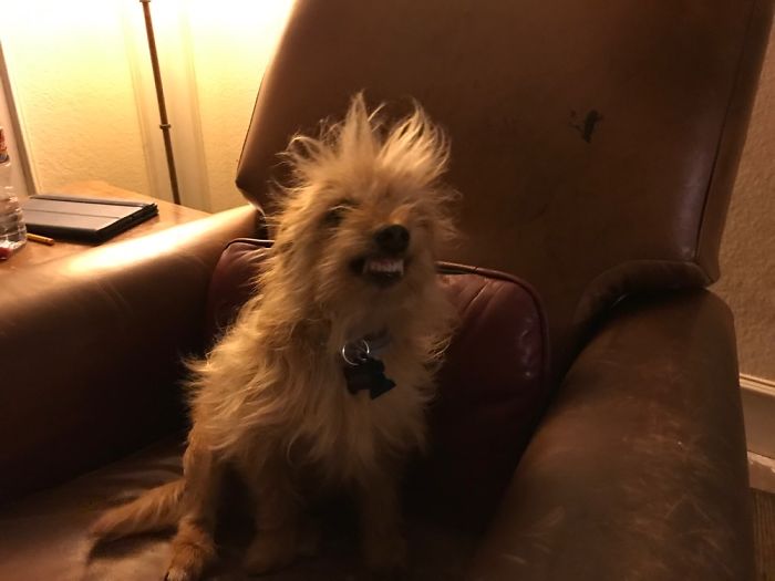 Andy Smiles Like A Pageant Contestant.