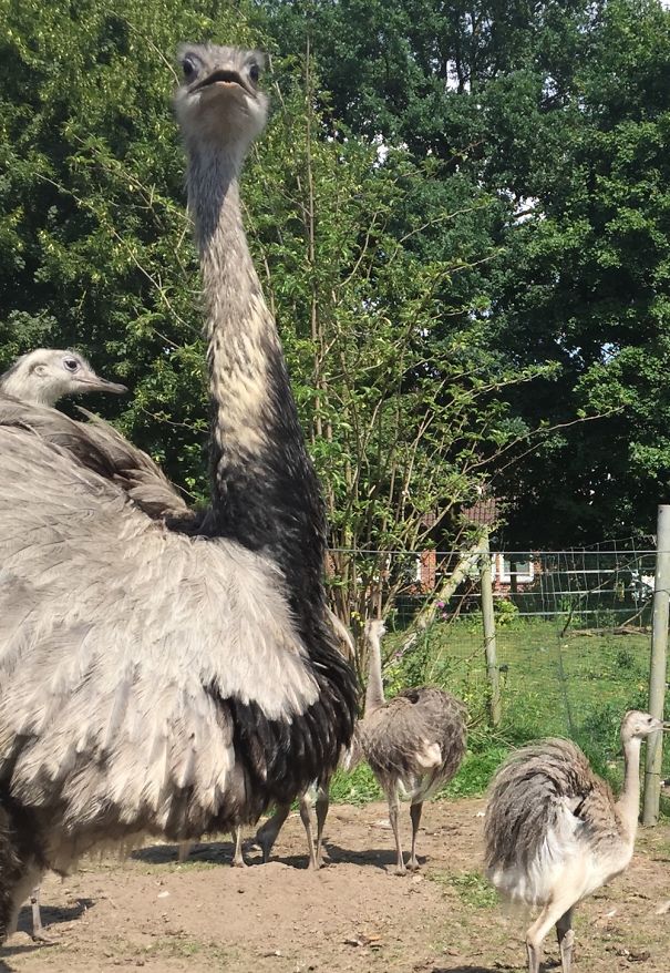 She Can’t Believe It