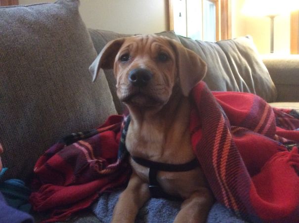 Sorry! Was This Your Blanket? Well It Mine Now!!-Xena