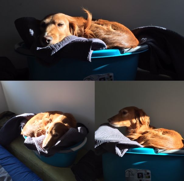 She Likes Clean Clothes