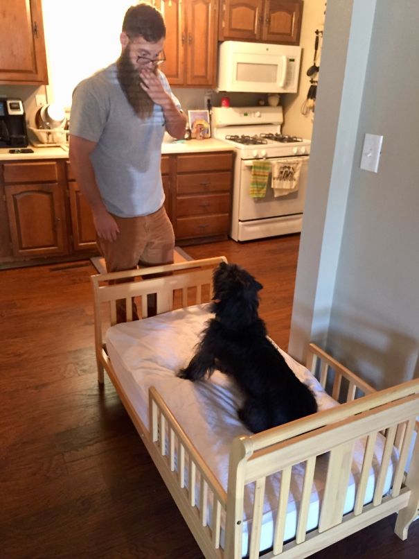 So This Bed Is For Me Right ?