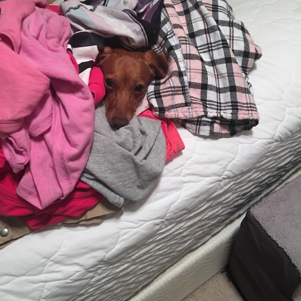 It Was Clean Laundry