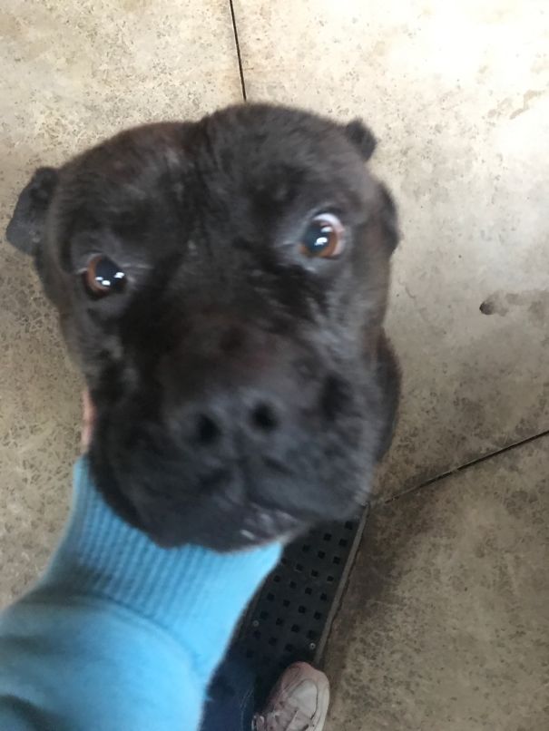 She Decided To Knock Me On My Butt For Taking Her Picture