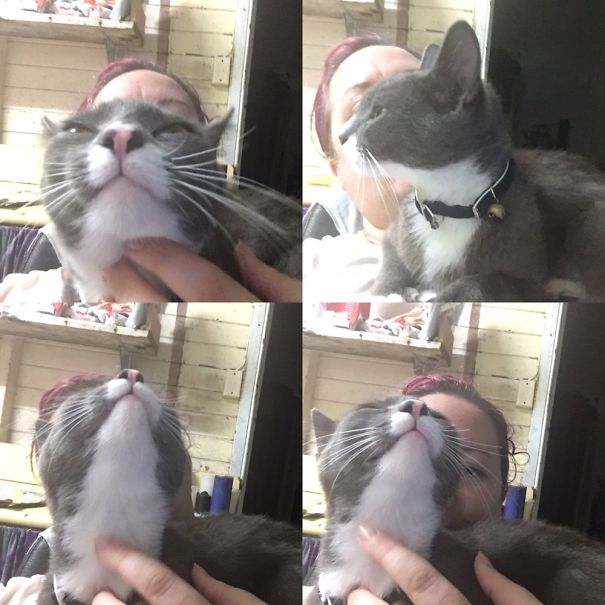 Trying To Take A Nice Picture Of Myself With My Cat...