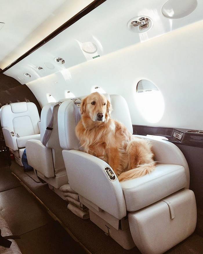 instagram-photoshoot-grounded-private-jet-studio-moscow-36 instagram-photoshoot-grounded-private-jet-studio-moscow-36