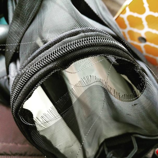 Jola's First Vet Trip, Parts One And Two.