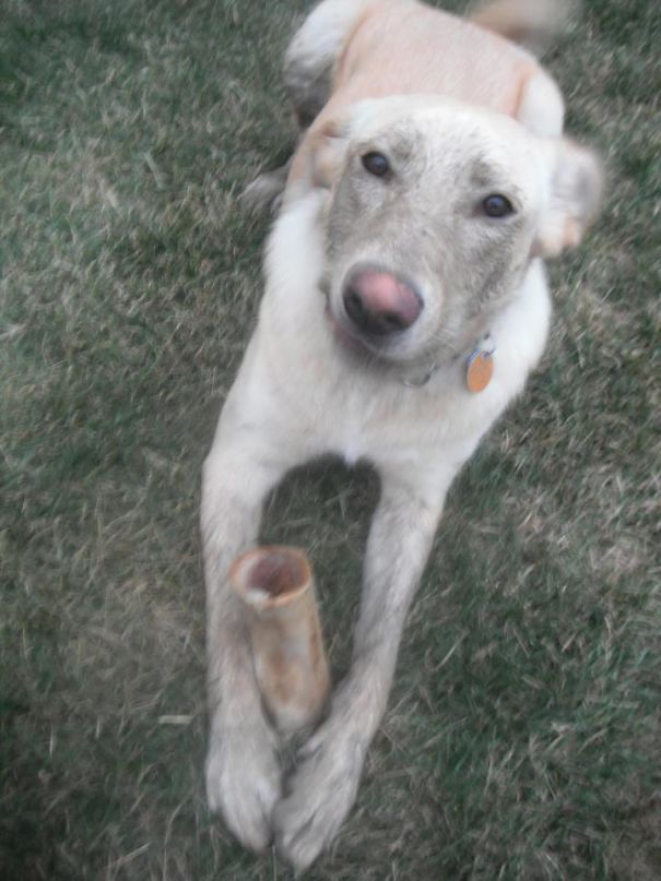 The Look After Burying The Sprinkler....again And Again....