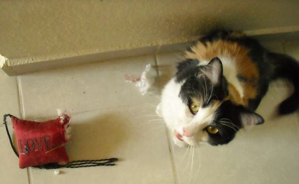 Love, You Say? This Is What I Think Of Your Love!