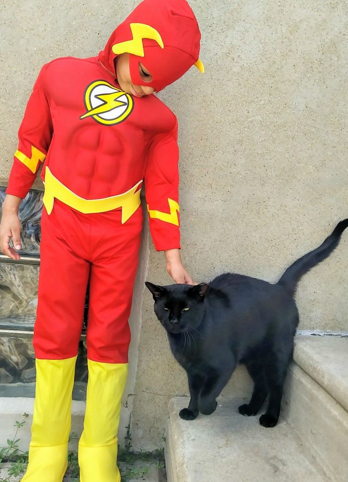 5 Year Old Dresses Up To Help Homeless Cats, Thinks He’s A Superhero To Them 5 Year Old Dresses Up To Help Homeless Cats, Thinks He’s A Superhero To Them