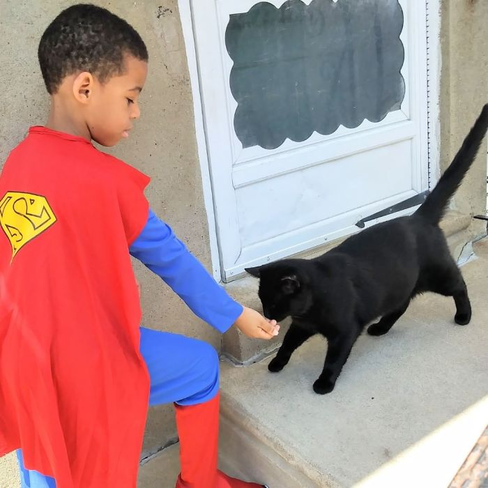 5 Year Old Dresses Up To Help Homeless Cats, Thinks He’s A Superhero To Them 5 Year Old Dresses Up To Help Homeless Cats, Thinks He’s A Superhero To Them