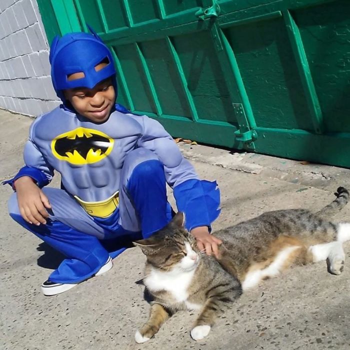 5 Year Old Dresses Up To Help Homeless Cats, Thinks He’s A Superhero To Them 5 Year Old Dresses Up To Help Homeless Cats, Thinks He’s A Superhero To Them