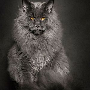 marylindagailgibson avatar