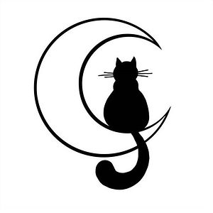 Moonlight Cat Dreams