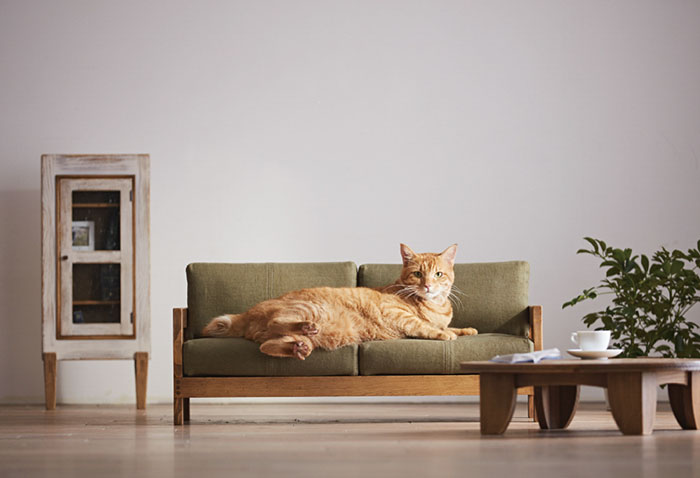 Miniature Cat Furniture From Japan To Please Your Master