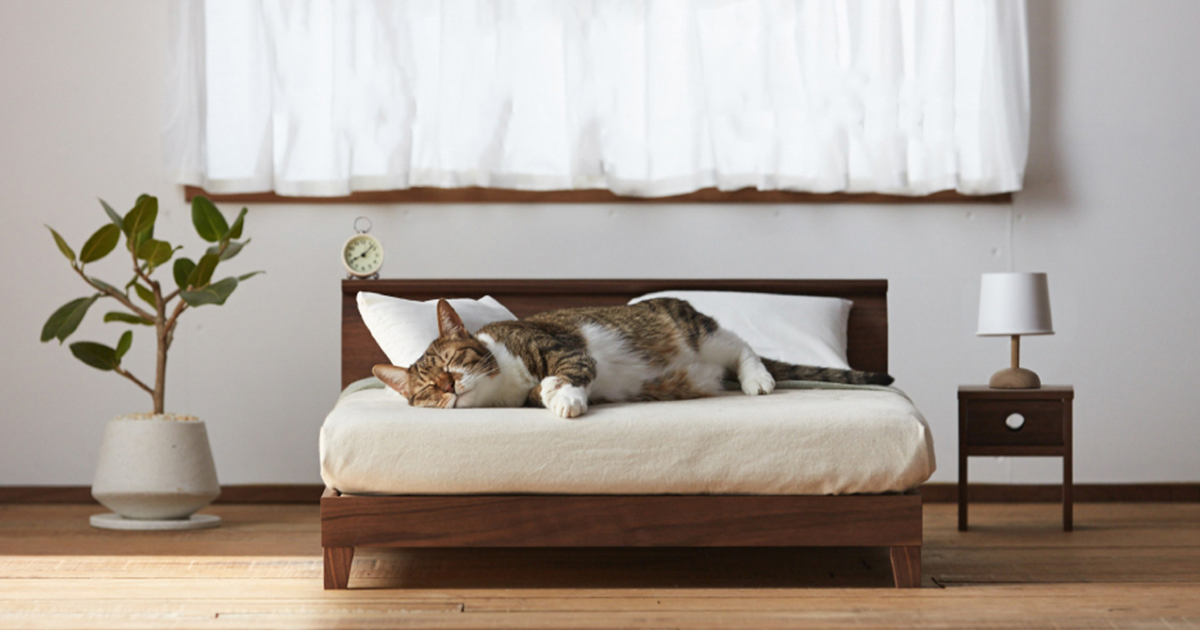 IKEA has recently launched a pet furniture collection, and their Japanese c...