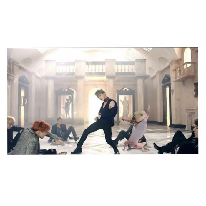 Blood, Sweat And Gecko