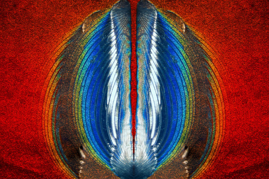 Plastic Fracturing On Credit Card Hologram, Texas, 11th Place