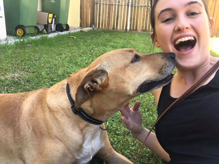 Pippa Waited For A Family For 103 Days. So Glad We Made Her Part Of Ours