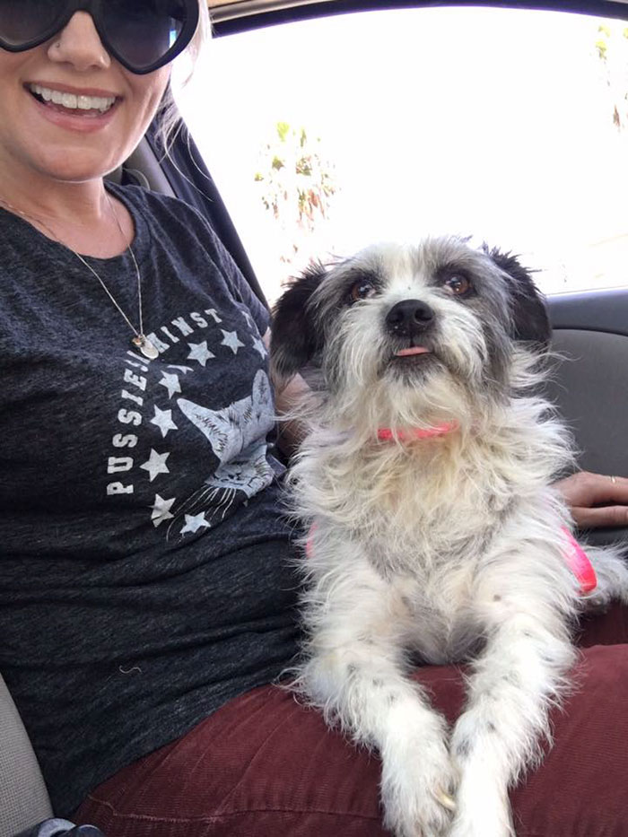 When Harry Met Katie. Ride Home From The Pound