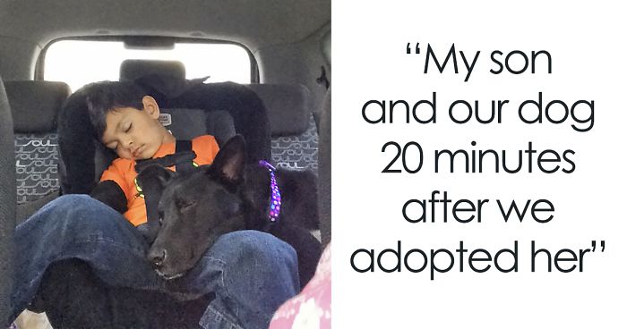 60+ Times People Met Their Dogs For The First Time And Absolutely Melted Our Hearts60+ Times People Met Their Dogs For The First Time And Absolutely Melted Our Hearts