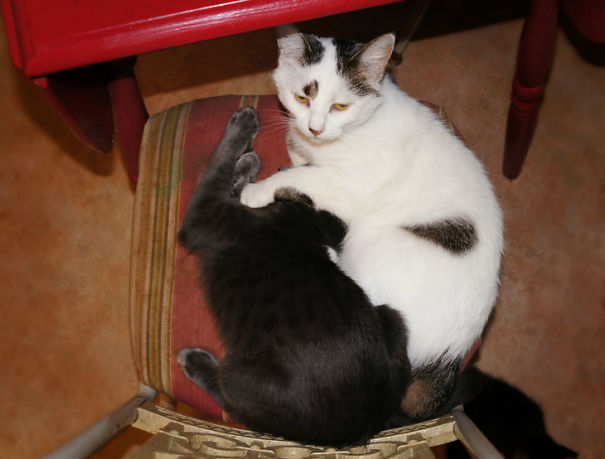 Am I Witnessing A Murder?