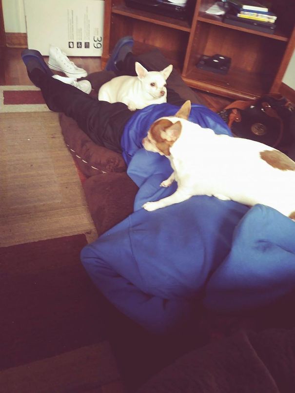 He Just Wanted To Take A Nap