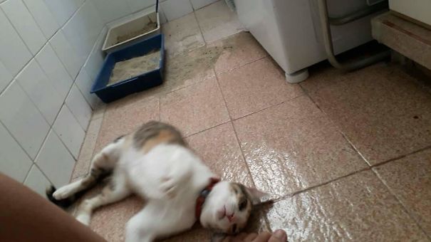 She Was Still Rolling On The Sandbox