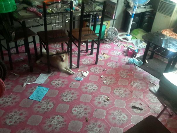 Went Out For Some Errands And When I Got Back I Saw This..