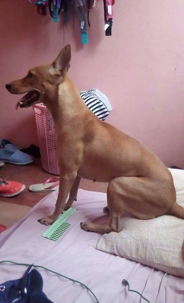 Woke Up With A Bad Stiff Neck And Saw This.