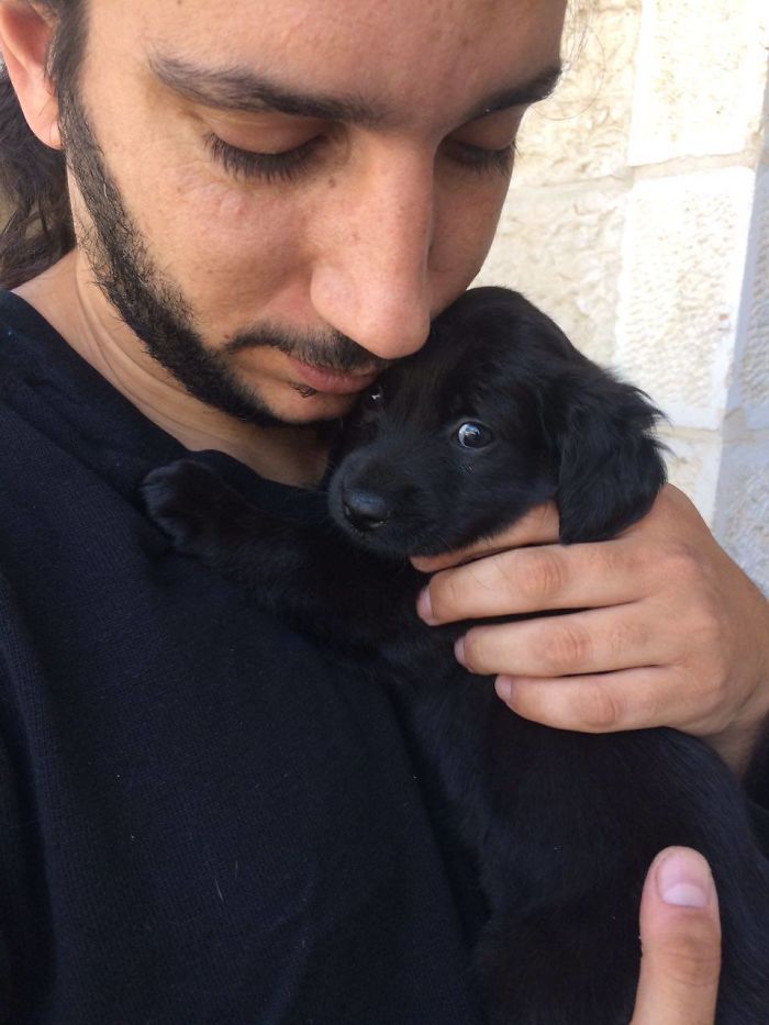 Husband Falling In Love With Binky On Her First Day With Us Exactly One Year Ago