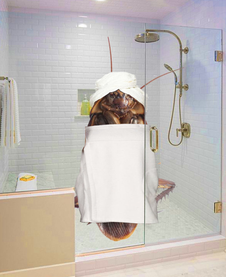 The Cockroach Diaries