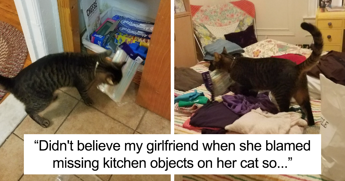 When she decided. When she decided. Where did elizabeth's family move to ответы. Body swap tg. When she decided.