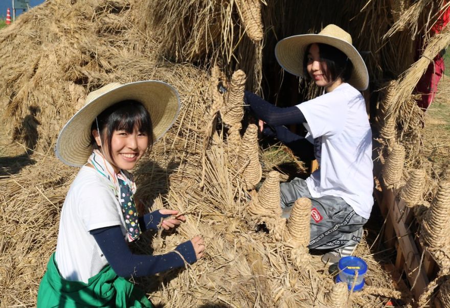 Giant Straw Animals Invade Japanese Fields After Rice Harvest And They Are Absolutely Badass Giant Straw Animals Invade Japanese Fields After Rice Harvest And They Are Absolutely Badass