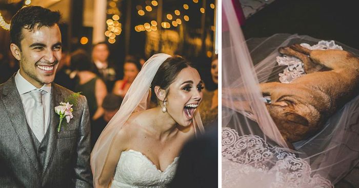 This Couple’s Reaction To A Dog Who Crashed Their Wedding Just Won The Internet
