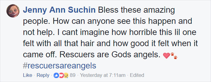 Dog Groomer Opens Shop In Middle Of Night To Give Stray Dog Haircut, Finds Real Beauty Beneath Matted Fur