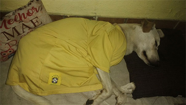 Guy’s Reaction To Stray Dog Peeing On His Back Enrages The Internet, But Things Take Unexpected Turn Guy’s Reaction To Stray Dog Peeing On His Back Enrages The Internet, But Things Take Unexpected Turn