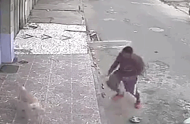 stray-dog-pee-on-man-adopted-heinze-sanchez-9 stray-dog-pee-on-man-adopted-heinze-sanchez-9