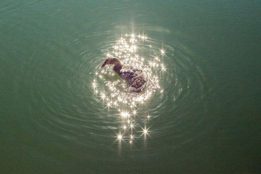 The-Coincidence-Project-Denis-Cherim-Photography