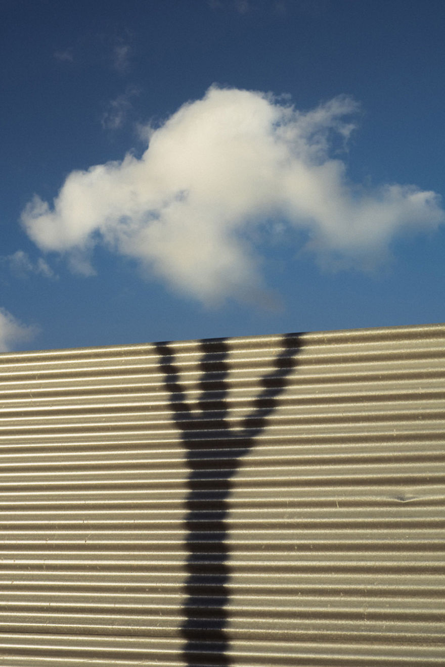 The-Coincidence-Project-Denis-Cherim-Photography